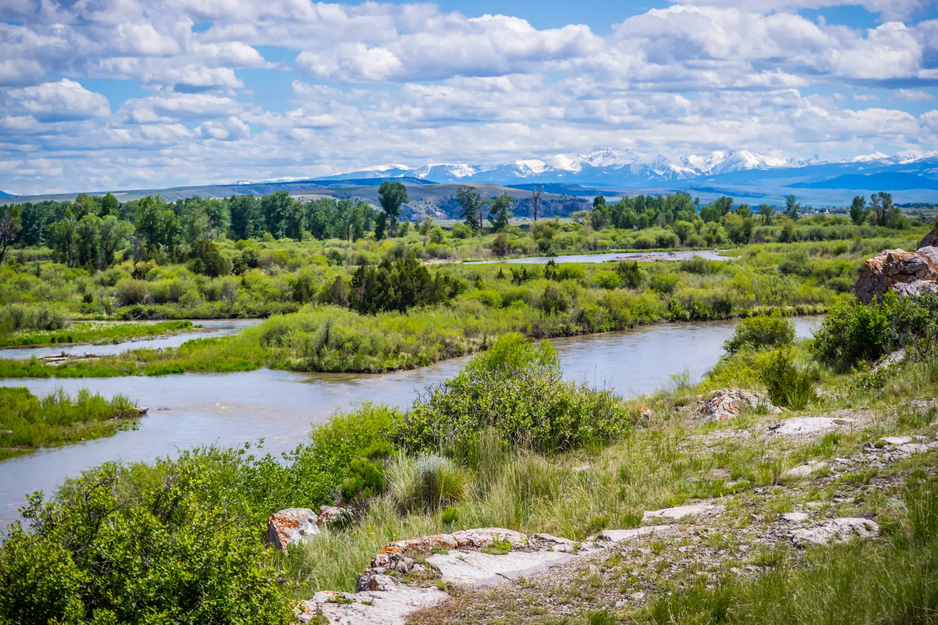 Three Forks PM Banner